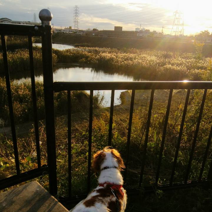 6440759e aacc 492f a934 8e1b822dc8df 1542455085529