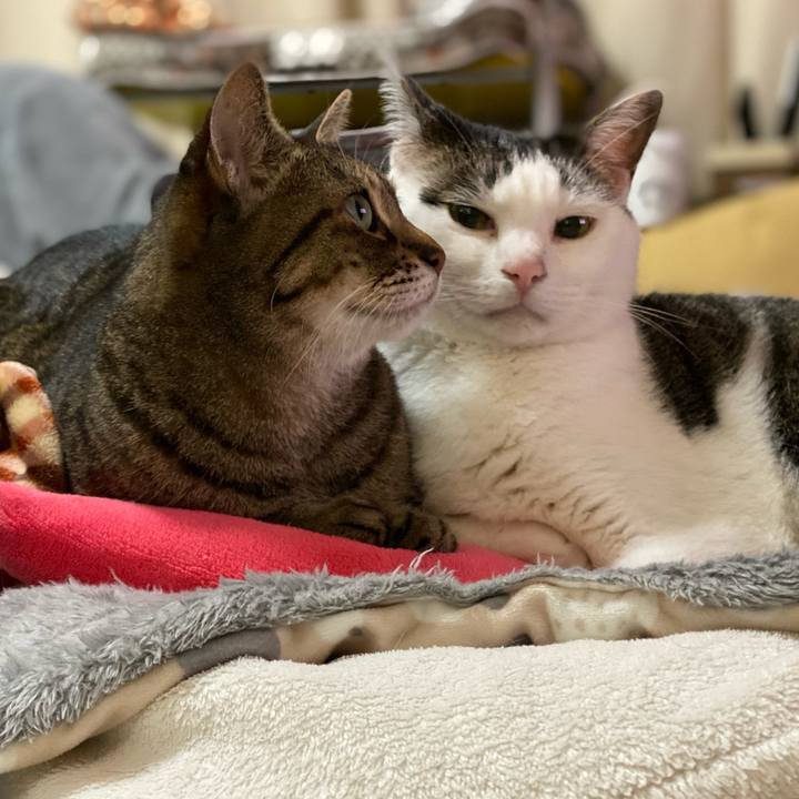 6440adf0 c040 4112 a6ae aa0041f424bd 1763803691949