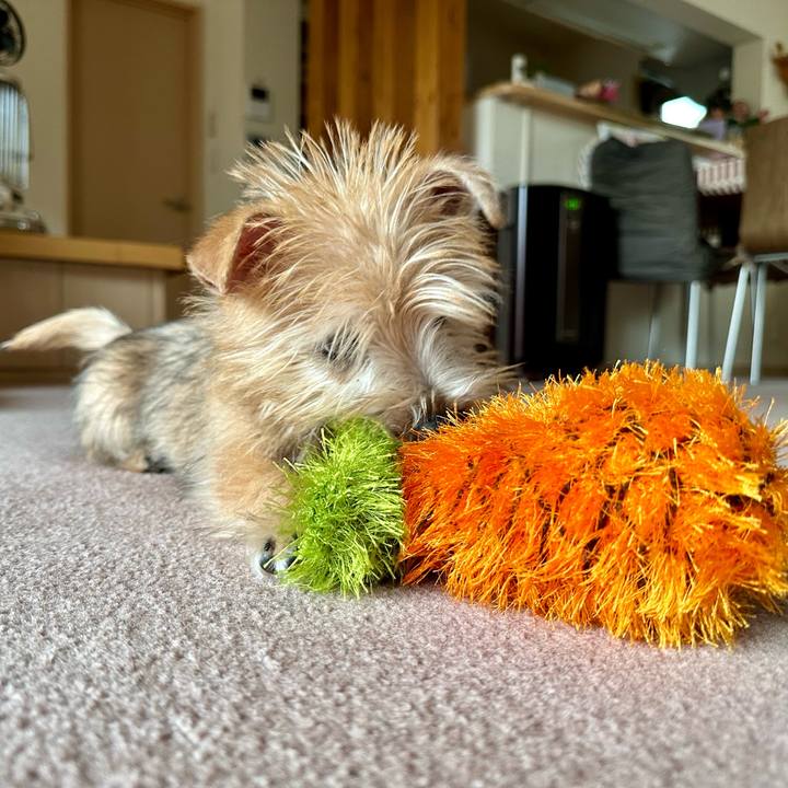 6440b211 b1a2 40ce a855 5be544c73ad7 1704294240096