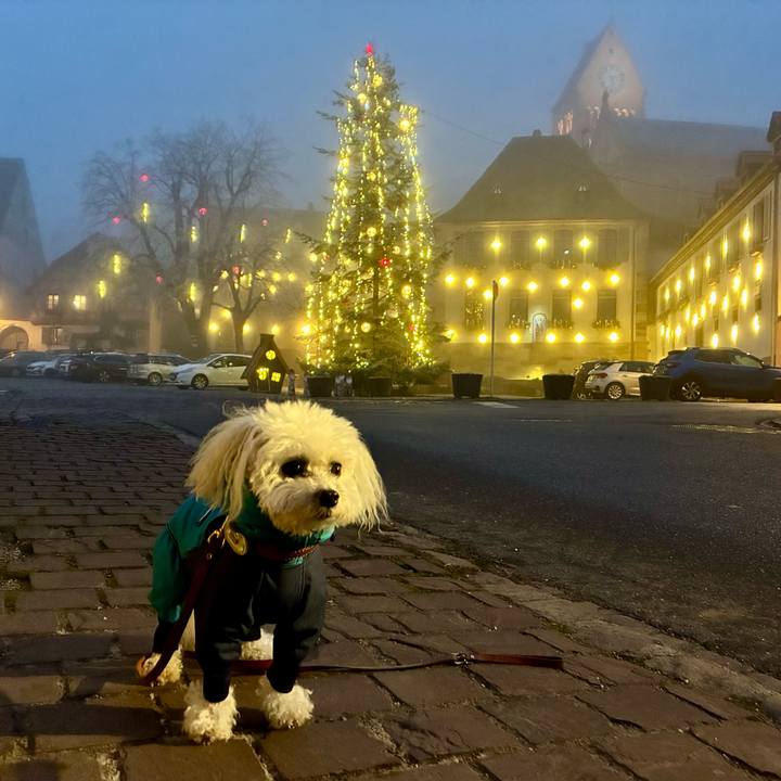 6440bde2 9c4b 41f5 b88a fa806ee67a36 1767050003834