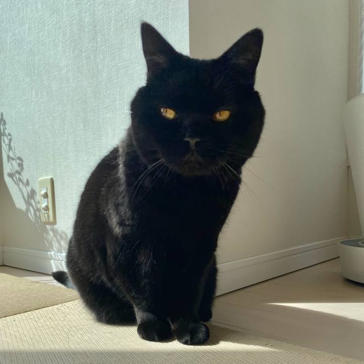 6440c476 7f98 476d abbe e7e19d85d633 1773043988269