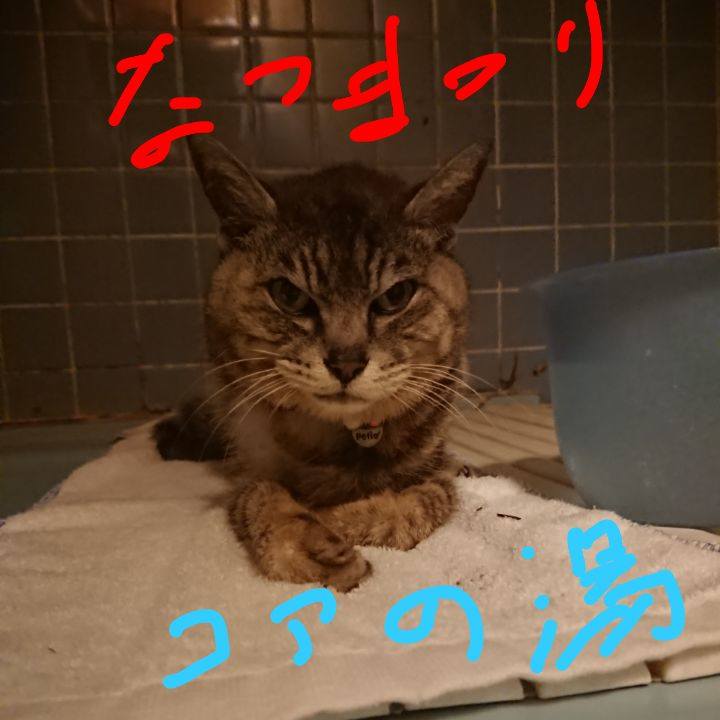 6440ed81 641b 4ad3 9dec f6e20cb510ed 1596884139095