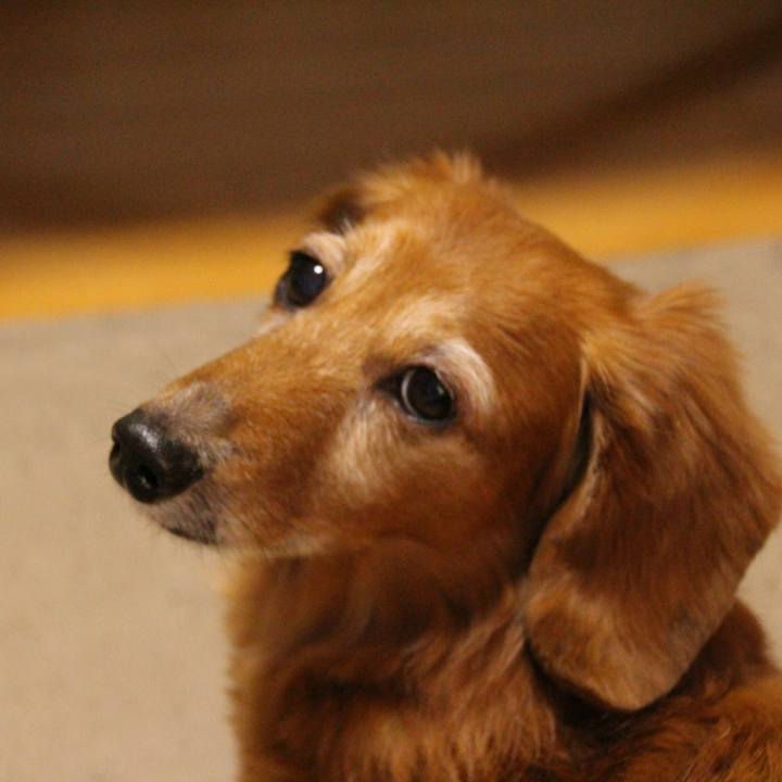 644126c6 75b7 46ab b724 ac27020a3ffc 1629994912463