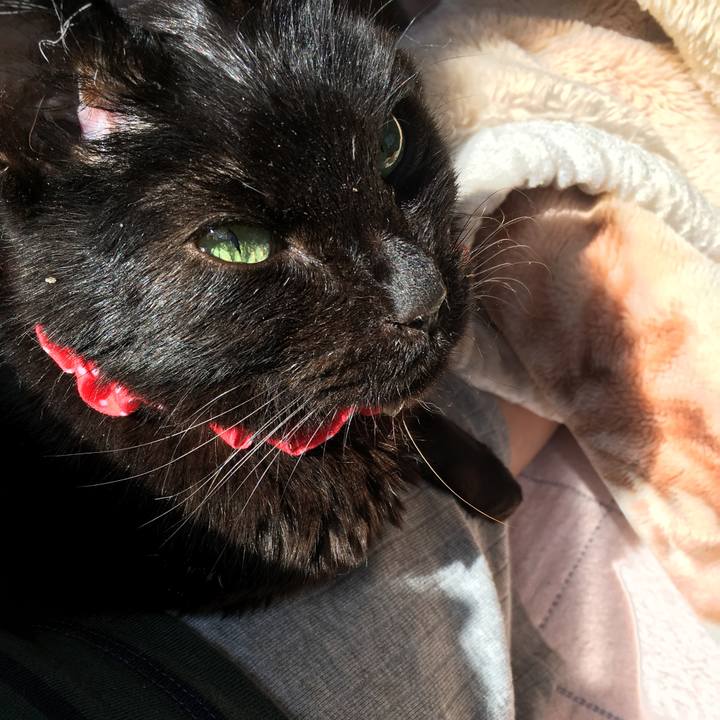 64413e18 8a7e 47a8 9b7c 7e8708f5080a 1589533656416