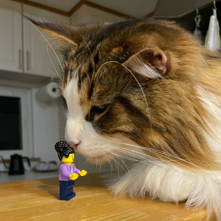 64415002 9812 4dc7 933a 8c5360ba6343 1669804755933