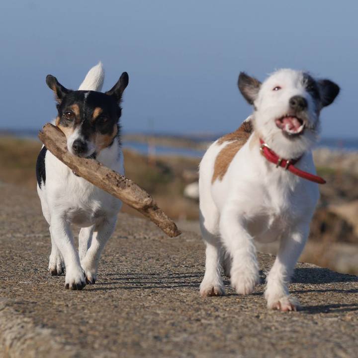 64416dc7 66f2 4b17 b238 276591205dbe 1508742437087