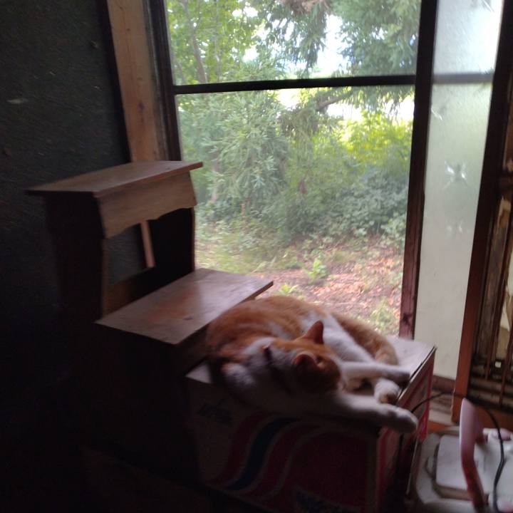 6441742e 8267 4374 a64d b747f525d18b 1752743512604