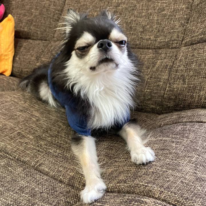 64419f3e 8c94 4490 9276 50ddd7b16396 1703750140043