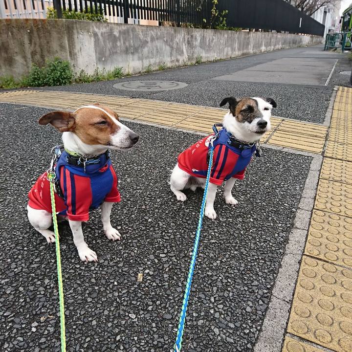 6441a867 6da0 4036 9348 24411ee046d6 1582333782085