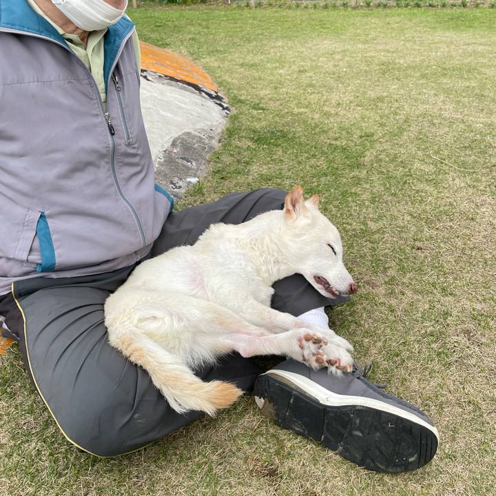 6441bed4 d39c 4a5a 93b9 9e7958eeec44 1679652715655