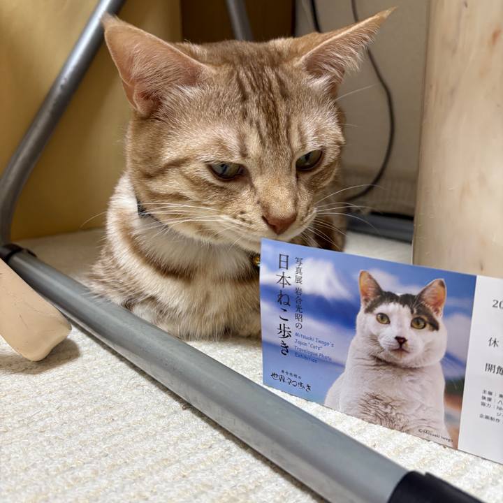 6441cfe8 cd3d 478a bcea 0a50be08fb59 1746269548323