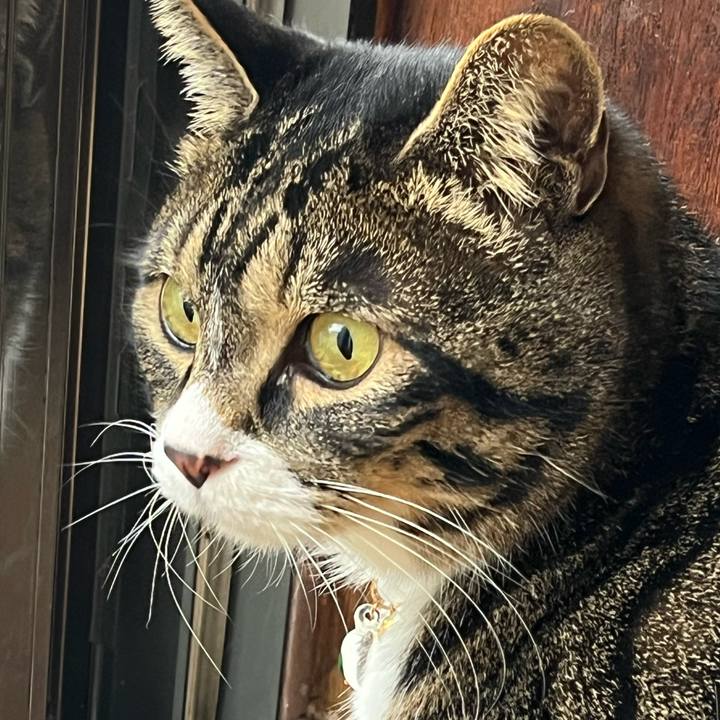 6441e072 eb04 4ebd a893 7fb66d1bc793 1775172022220