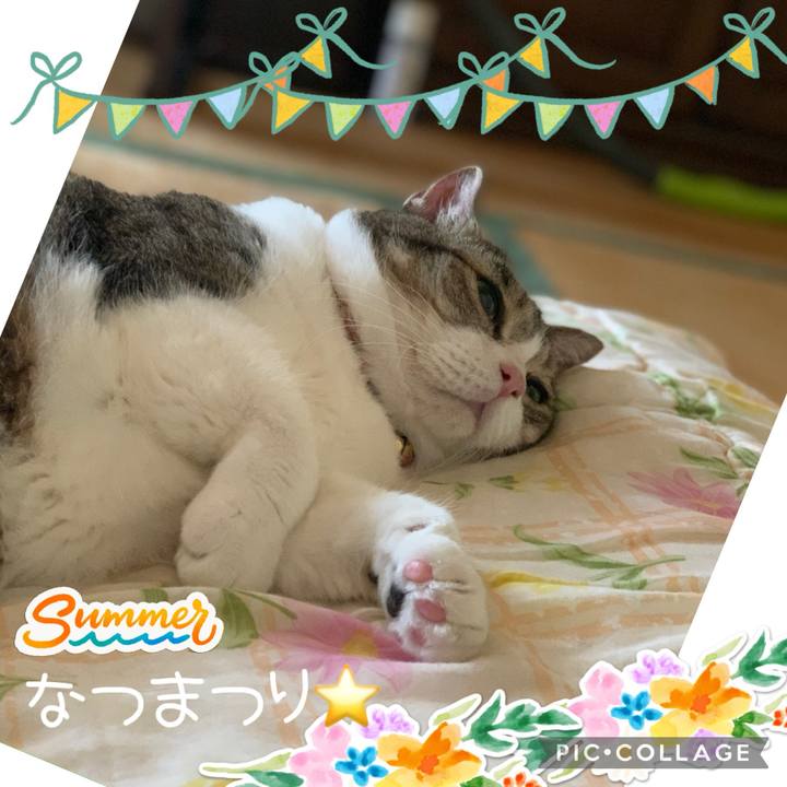 644200ed f3b2 4935 84d4 3e140c59e64c 1724500229221