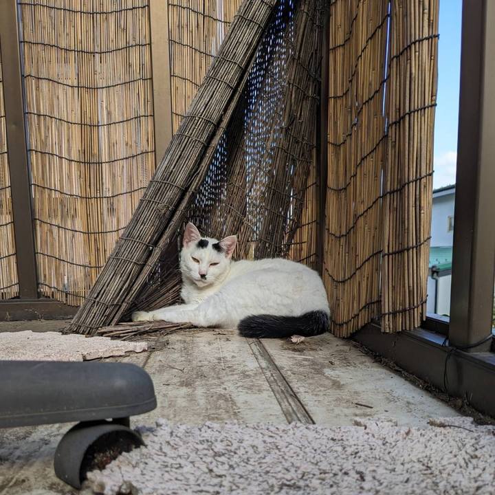 64423a84 04a8 4444 9b0f 01a044e4126c 1697890092821