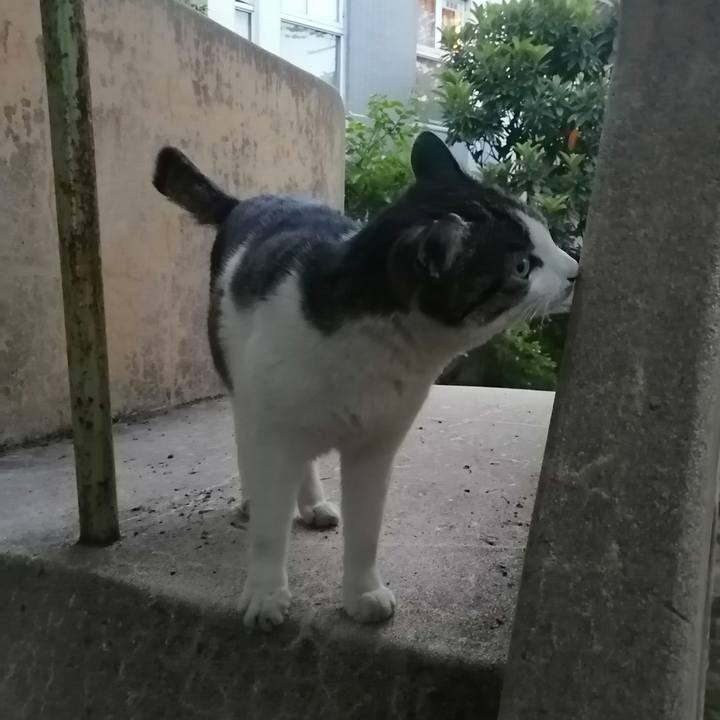 6442655d 38cb 410f 8580 c85fb1416a7f 1619084680360