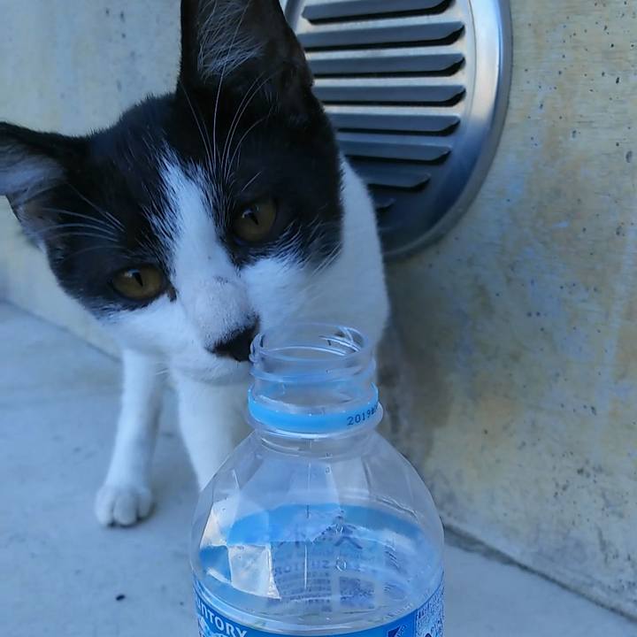 64429e3e 3c35 4f98 9f7f e57b0a250a12 1534915023208