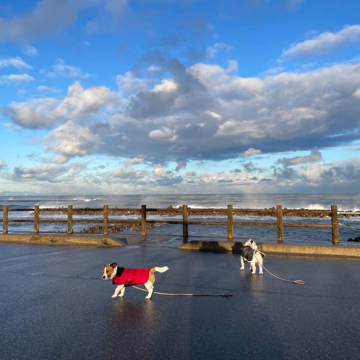 6442c719 a40d 4efb b362 95fc35d5fb2c 1672101867119