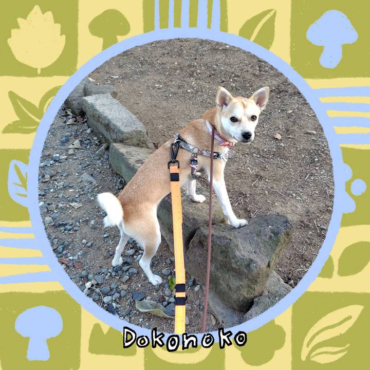 6442f9bd eef1 4b02 b764 d235950f9f58 1761793207099