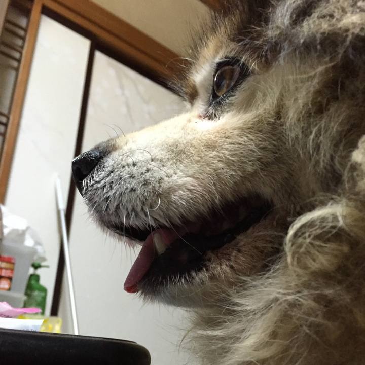 64430280 8dbf 4150 8bc0 7855f1d7850c 1589787451850