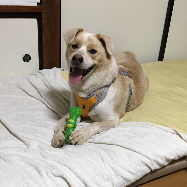 64430890 3566 40ef b41a b09153361424 1536922364477