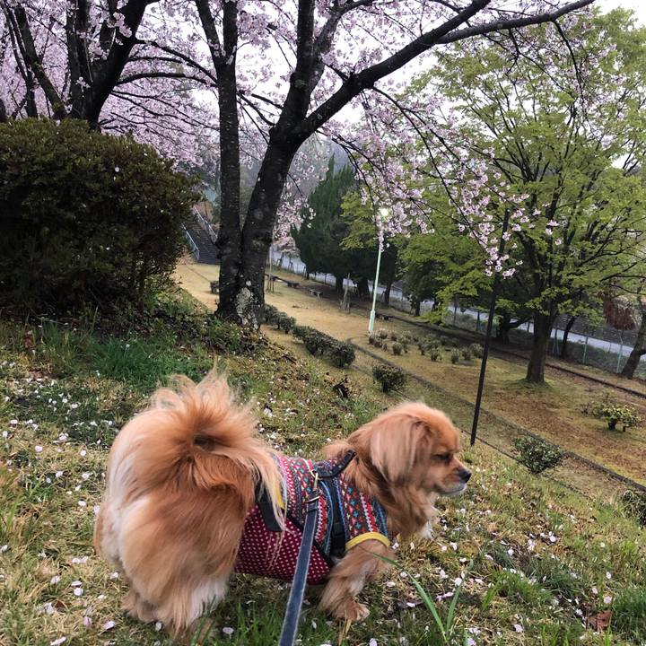 644309fe 7814 4dbe b656 69e3cf8ee74f 1554672003216