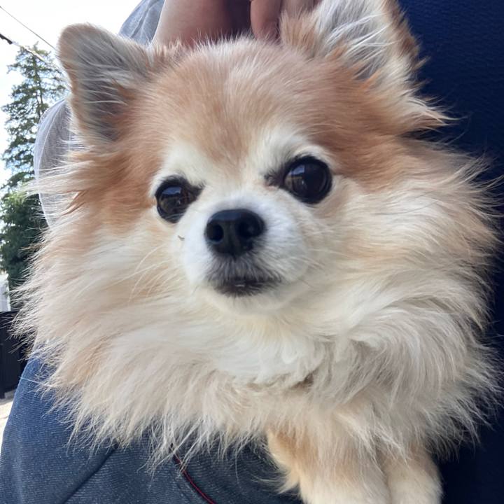 64432585 da53 4bf1 8f61 a8780a5f3508 1759423558511