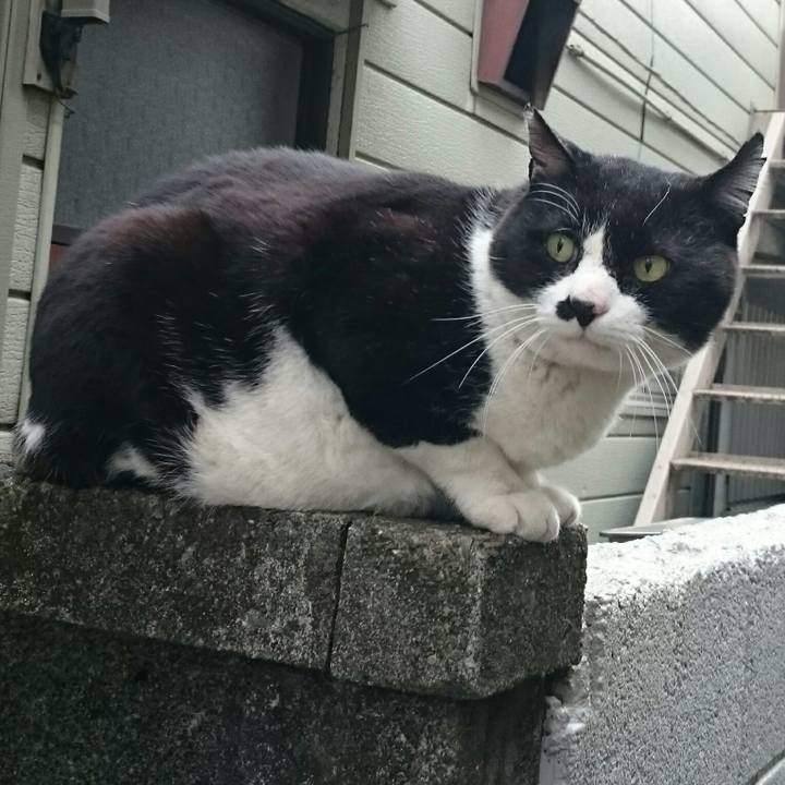 64432f80 086e 4213 86c3 5344d731809d 1521430383203