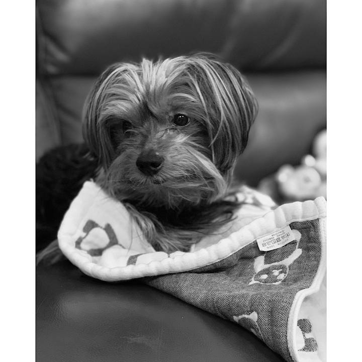 64434050 6606 4c4e 9262 d0175bf10a0d 1572338307634