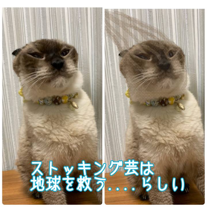 6443540c c032 4309 a1f2 c91b7013add1 1567983978690