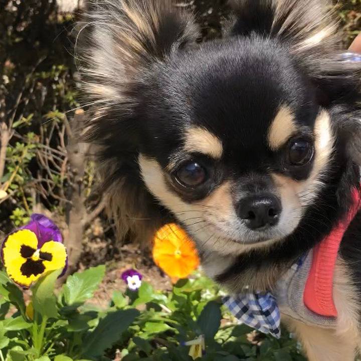 64435deb 8671 47c3 8cb1 85831e8531f8 1573386014830