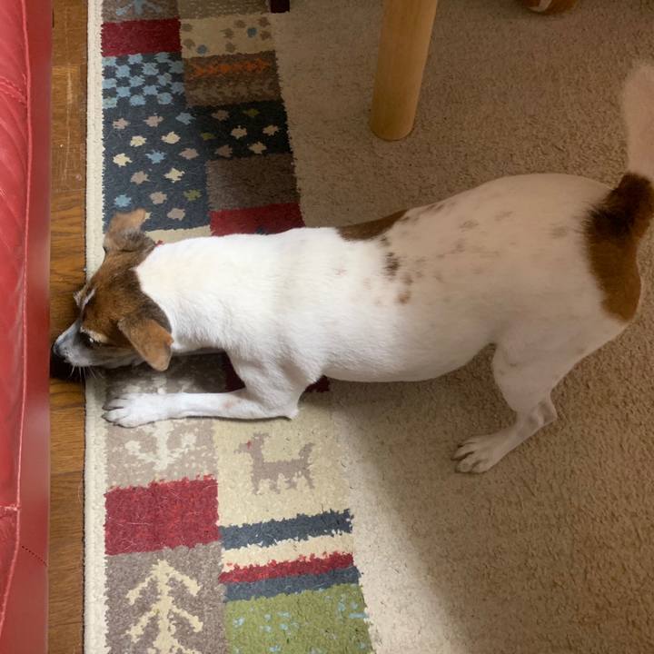 6443a7f1 45f4 46b3 b411 bdf80e25a39a 1541512066947