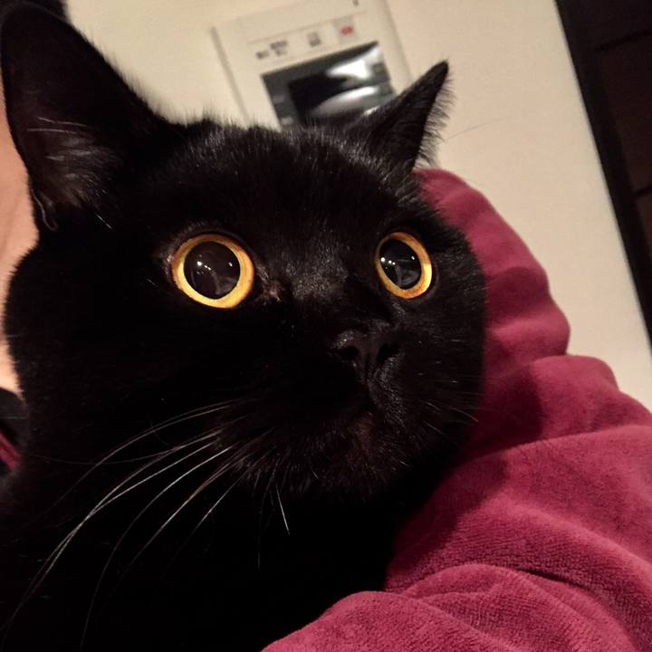 6443b82d 4f20 477a 8b5b a95b7bd0a1c0 1574599308712