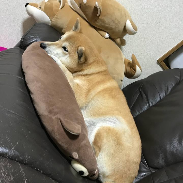 6443c9b4 1ef2 4661 a91f 9b90c9c6d90c 1515840517005