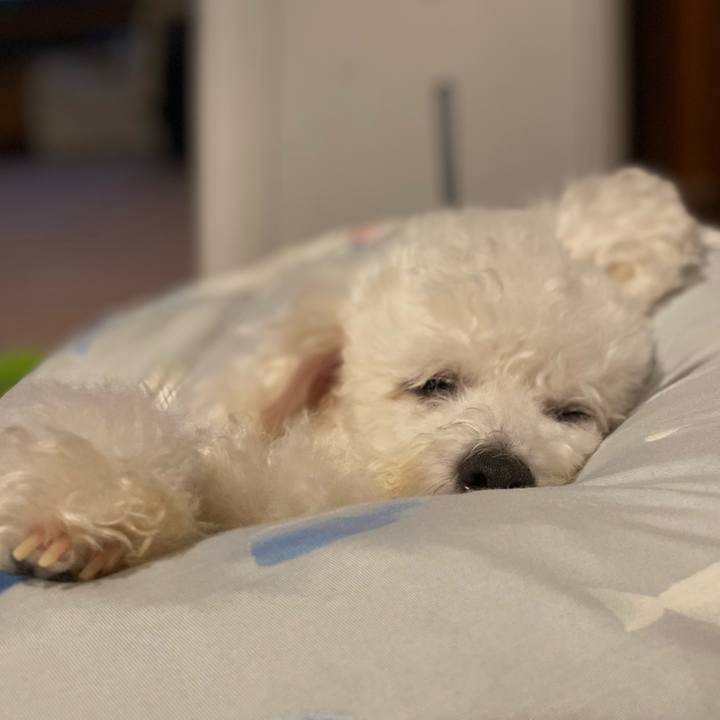 6443dfd6 6735 49f4 bd4f 8c615e2dd195 1691847785514