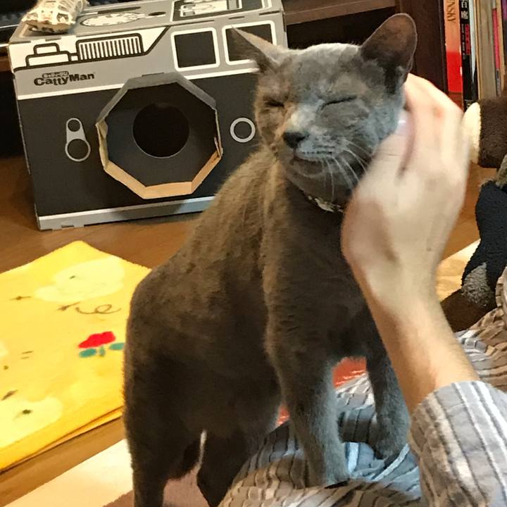 64440b19 bcc6 4616 aa41 0a26c65cbab4 1578728854419