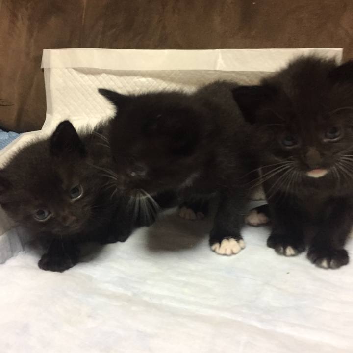 64443397 59ff 45ad 9f1f 85f2684a2f30 1524751035932