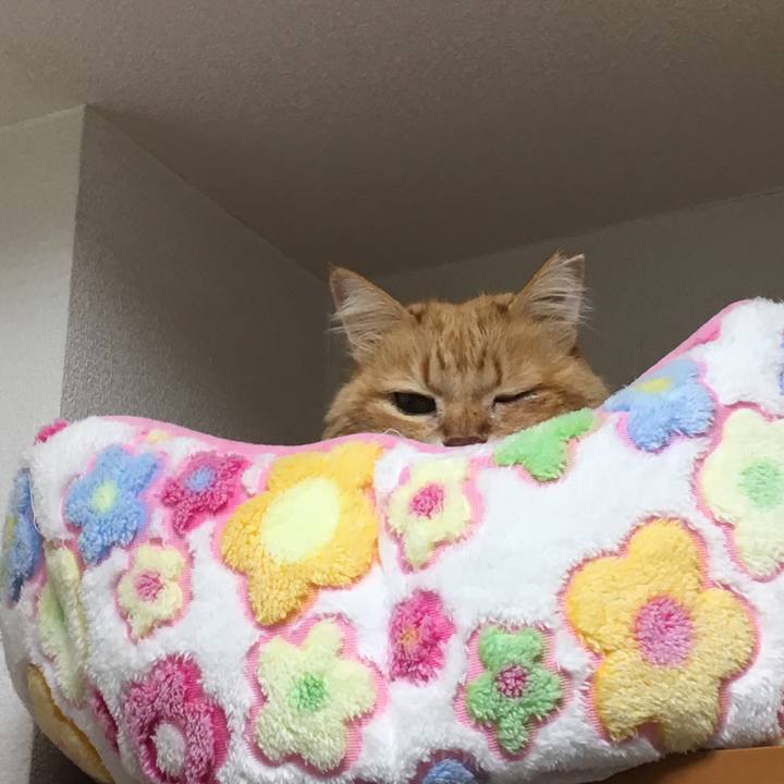 644446e6 820a 46e7 bd48 35e1de46c959 1536048833511