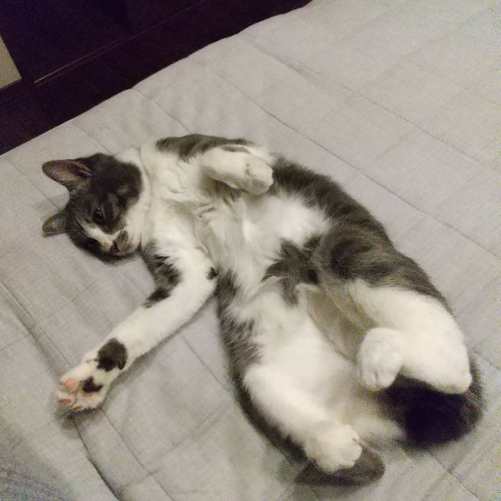 6444630d eb0f 4940 8200 dd85d5196f15 1601981516276