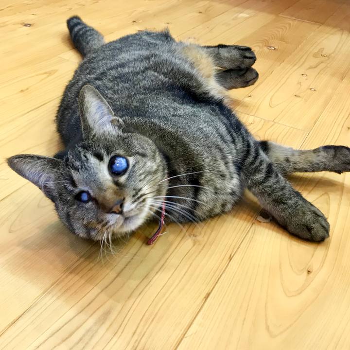 64446960 9c3e 4197 8aaf 7eda30172466 1570069070034