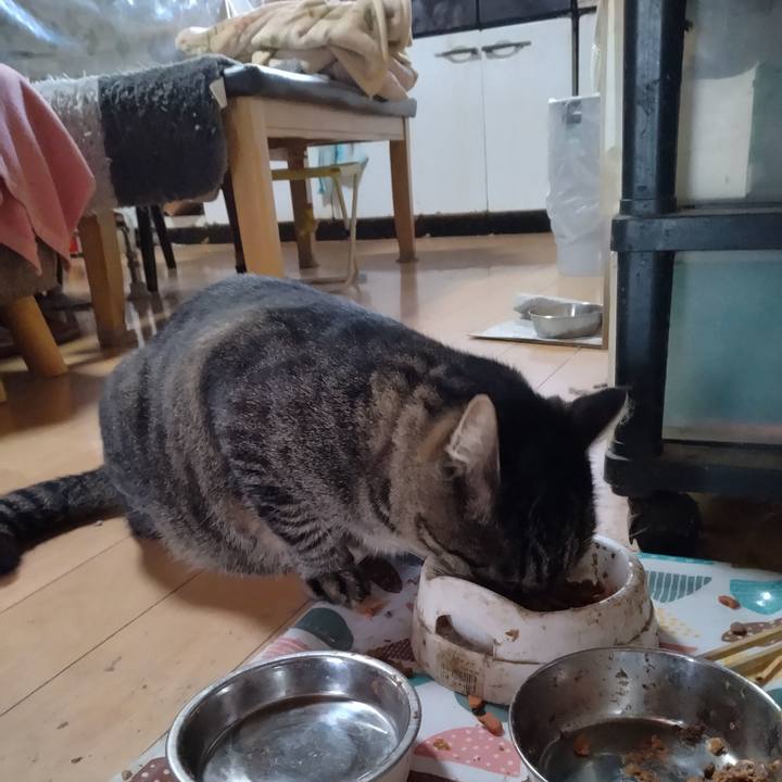 6444786b 7067 4944 a38b 39219699eeb2 1667439337661