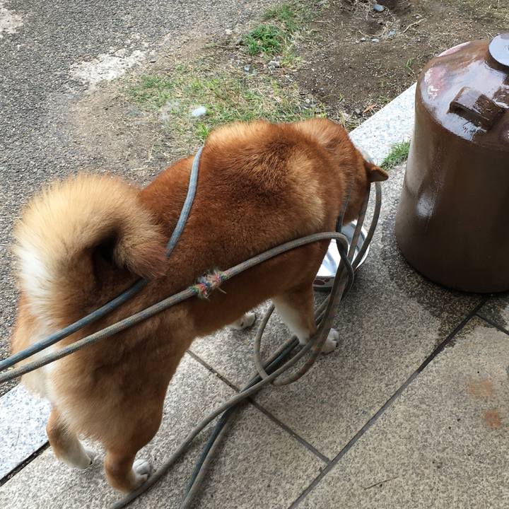 6444820b 2932 4202 9d39 aea1dddcb64e 1559551123094