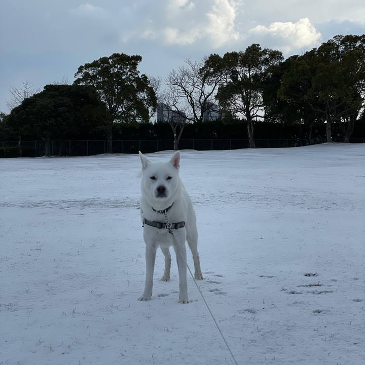 644496d0 b912 44f9 b576 063a5d02a7df 1613619775691