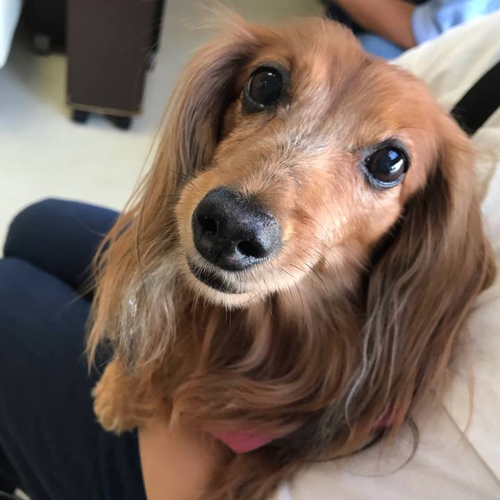 6444b3e5 b918 4243 945d cf3a9f2688db 1568508234364