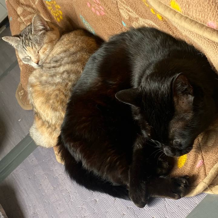 6444ba21 e154 408c 9546 949612976921 1672380898211