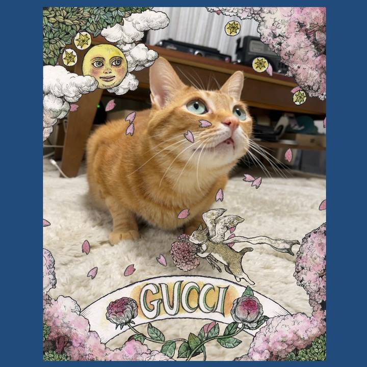 6444ca81 0946 4f47 a359 22ba3b97286f 1678184611173