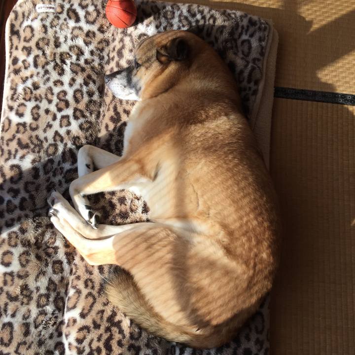 6444ce28 2cf0 4c96 9ada e1630d947dea 1517796839023