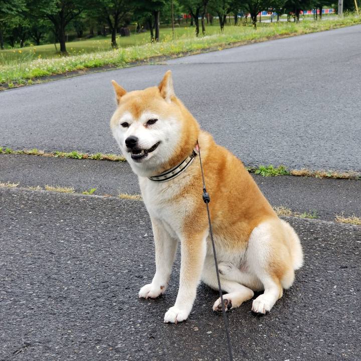 6444fb4e 8560 4a8c 985c e68d120530b6 1592033418424