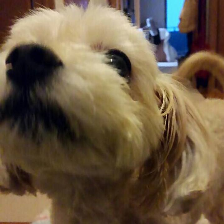 64450c38 de50 4119 aca5 ee704ab8845f 1563188989837