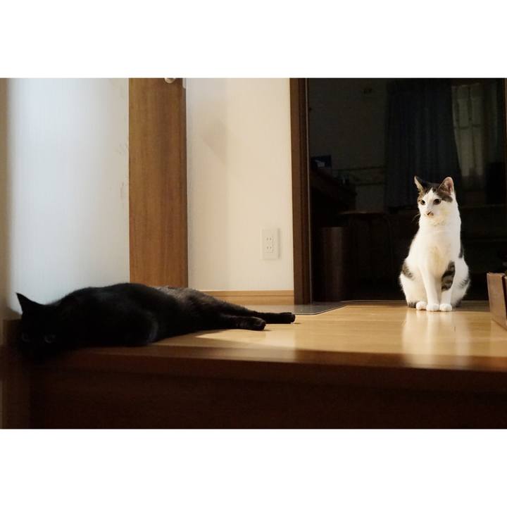 64451c92 3731 4192 8aac 98c2c4a2c23d 1564413929653