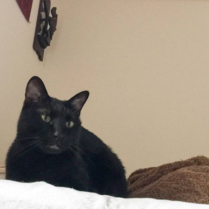 6445366b 590d 47e7 985d cb6adb3ef4ab 1528605581214